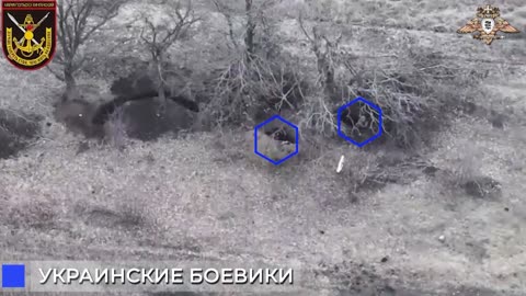 So-Called DPR Says It Hit Ukrainian Soldiers Using Artillery After Spotting Them With Drone