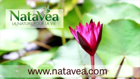 Natavea La nature pour la vie