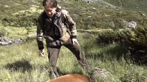 Rescue Helicopter Used to Poison Deer - Tourists Speak Out (Mt. Aspiring Nat'l Park)