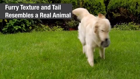 Hyper Pet Doggie Tail Interactive Plush Dog Toys