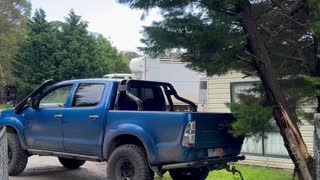 Pickup Pulls Tree Down Onto Itself