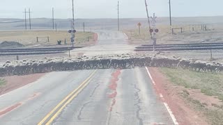 Wyoming Road Block