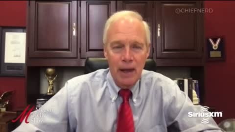 Ron Johnson explains how people like Hunter Biden launder money using diamonds.