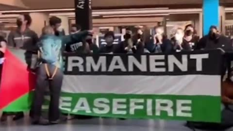 Hundreds of pro-Palestine protesters at San Francisco International Airport.