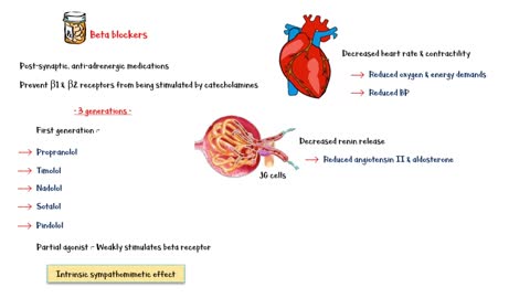 Beta Blockers _- Types, Mechanism Of Action, Indications & Contraindications & Adverse Effects