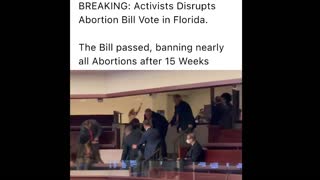 Pro-Abortion Activists Storm Florida’s Capitol During Vote