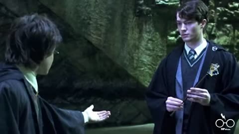 Voldemorts gesamte Schuljahre in Hogwarts erklärt