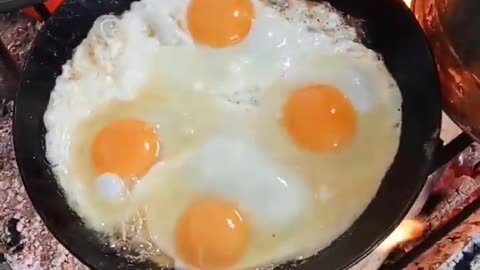 Fried eggs on the campfire