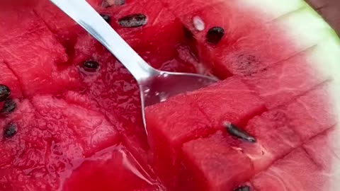 Summer Drink Watermelon Mojito #shorts