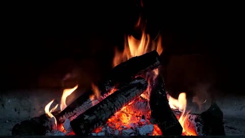 7 hours of The Best Campfire with sound of burning wood