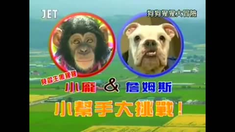 Petsmart Dog And Monkey From Japan Ep 1-Part 1