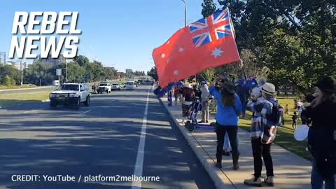 Rebel News - Australia’s BIGGEST convoy descends on the capital