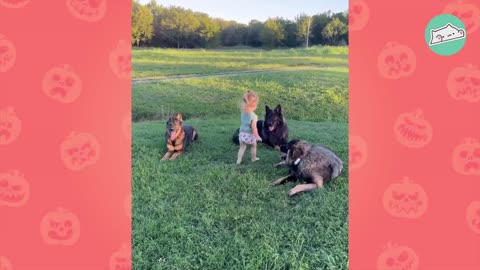 Huge German Shepherds Think Tiny Baby Is Their Puppy _ Cuddle Buddies