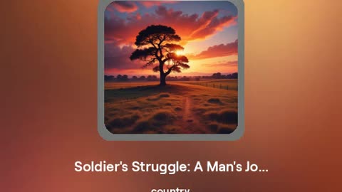 A Soldier's Struggle