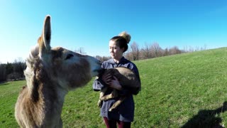 Donkey falls completely in love with baby goat friend