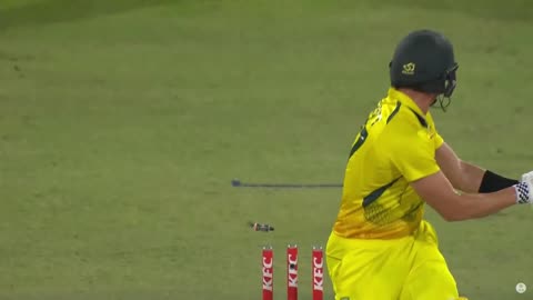 Pakistan's Pace Sensation: Haris Rauf's Spectacular 5-Wicket Haul Against Australia!"
