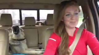 VIRAL - Dog sings with owner