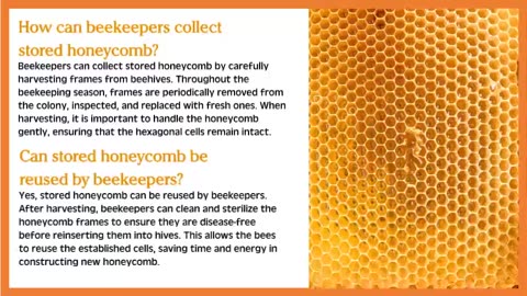 Unlocking the Sweet Potential: Exploring the Versatile Uses for Stored Honeycomb