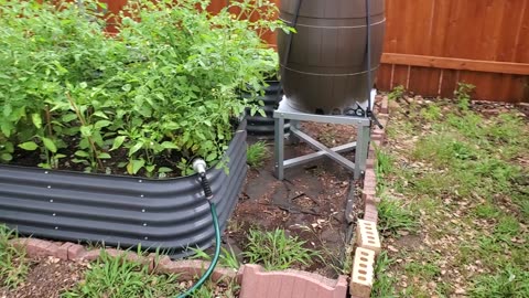 Implementing a rain barrel for the raised bed garden. #6