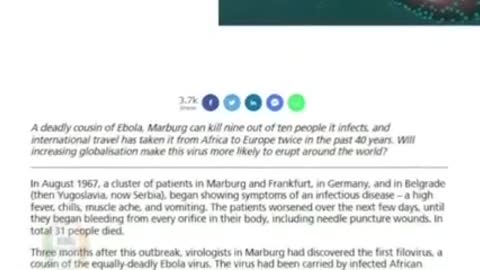 BioTech Whistleblower Warns of Marburg Virus Vaccine For New Pandemic‼️ 内部告発者 マールブルグウイルスが新たなプランデミックと警告‼️