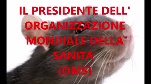 ecco il presidente dell'OMS