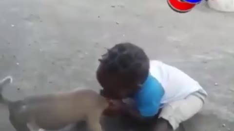 Kid vs Dog Funny Video