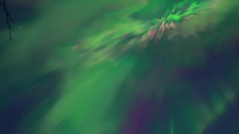 Real-Time Spring Auroras Over Alaska