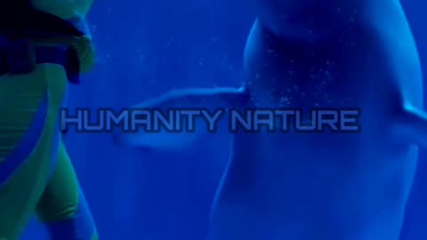 Dolphin shows on nature ♥♥♥..|| #dolphin #dolphinshows