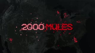 "2000 MULES" PREMIERE AT MAR A LAGO