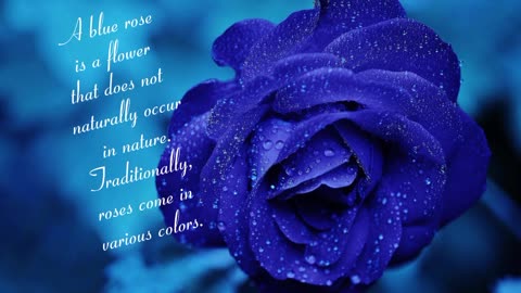 Types and natural of Rose's