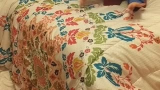 Corgi Trying His Best to Jump onto Bed