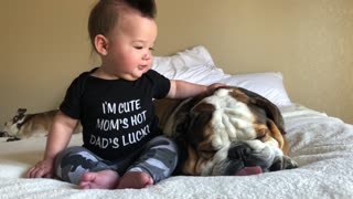 Precious Baby Tries to Wake Sleeping Dog