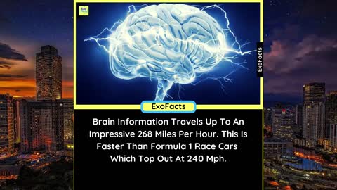 Facts that blow your mind 😵 | knowledge facts | funny facts | random facts | did you know |