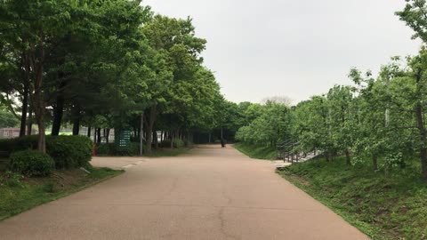 to walk in a quiet park