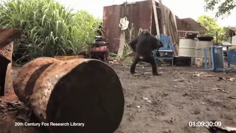 Ape Shoot's AK-47 AT African Solider's REAL FOOTAGE