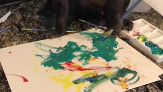 Monkey Paints a Picture