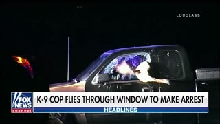 California K-9 jumps through shattered car window to make arrest