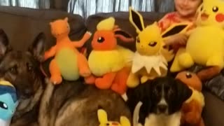 Toddler and dogs pose for Pokémon picture