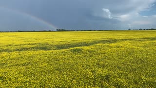 Rainbow view