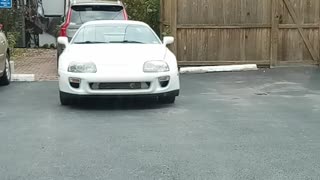 Supra spotted