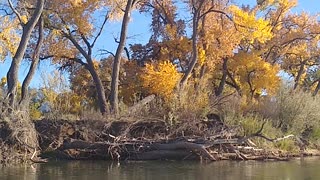 New Mexico seasons changing