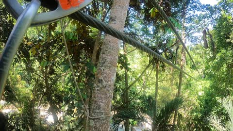 Zip Lining in Jamaica