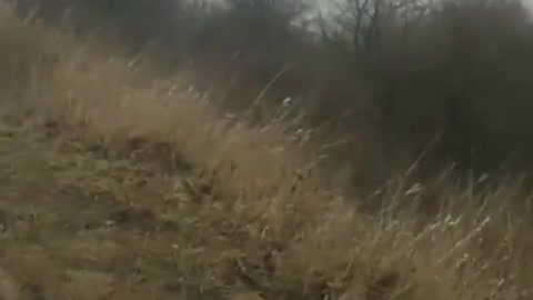 Ukraine War Footage