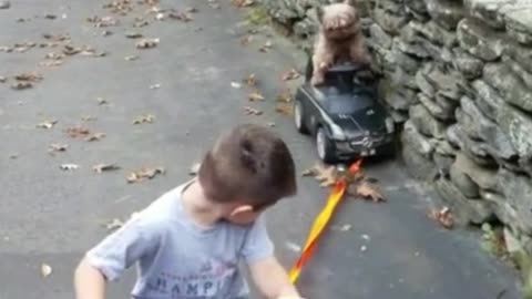 Playing gracefully in a toy car while being towed by a child on a 2021 bicycle