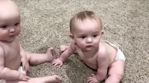 cute and funny twin babies