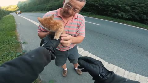 Biker saves a kitten 🐈 in the middle of the highway