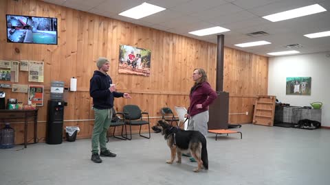 Professional Dog Training - How to teach your dog to listen to you