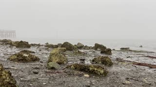 ocean view Calming music for relaxing your mind & body Crescent Beach British Columbia, Canada