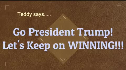 TEDDY - LOVES - WINNING! Go President Trump!