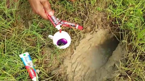 Share: Profile Amazing Reaction Deep Hole With Colgate...Popular Fishing Video